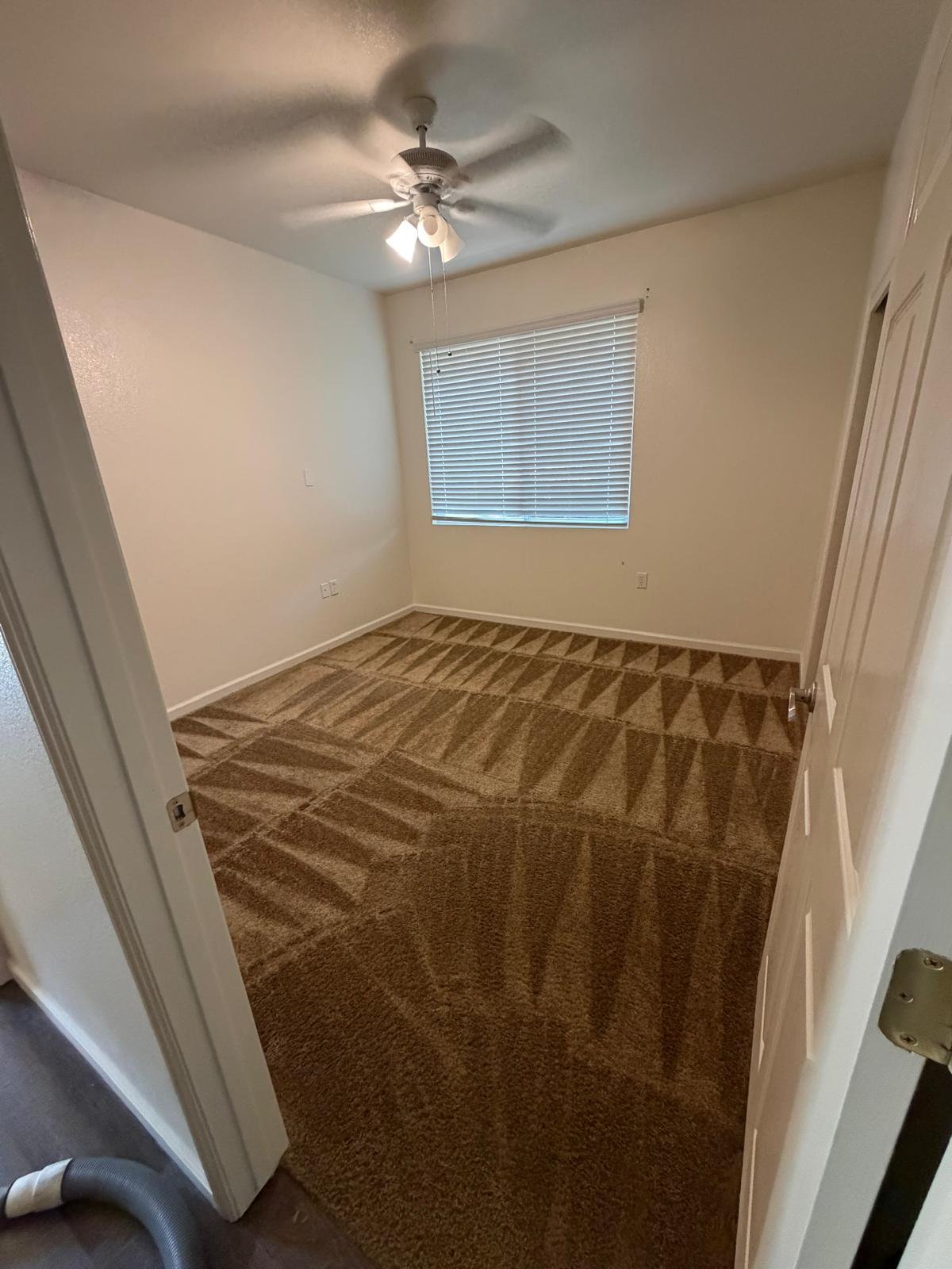 Freshly cleaned bedroom carpet - Fresno CA