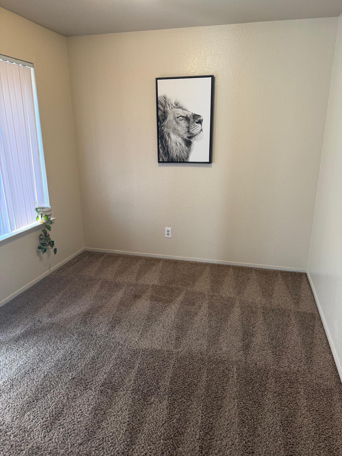 Clean bedroom carpet after service - Clovis CA