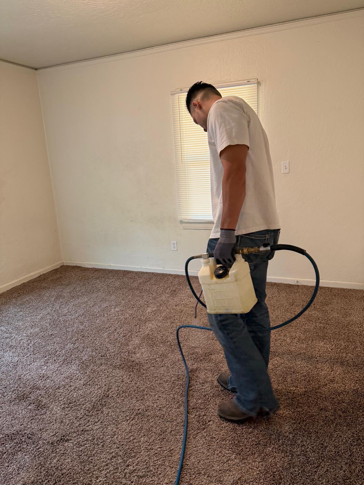Pet and kid safe cleaning solutions - Clovis CA